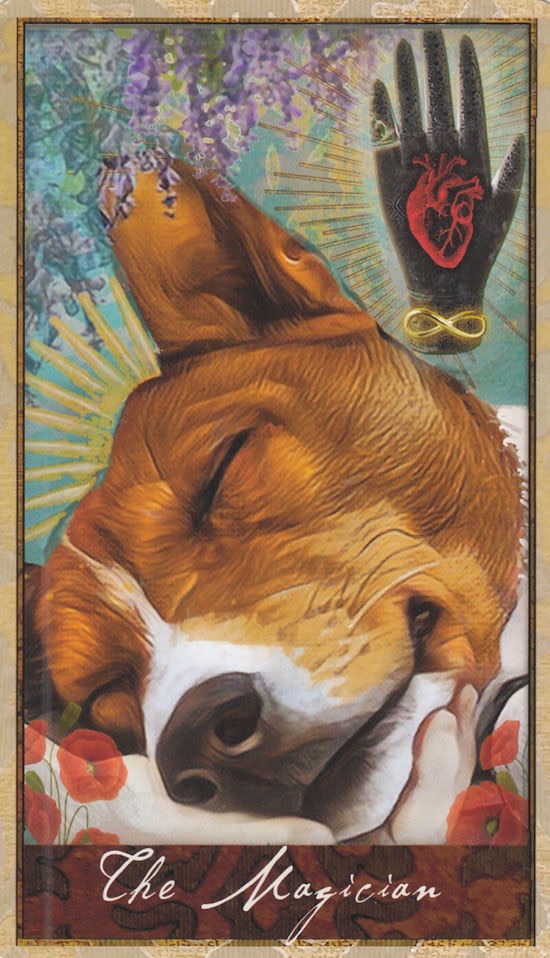 Wise Dog Tarot